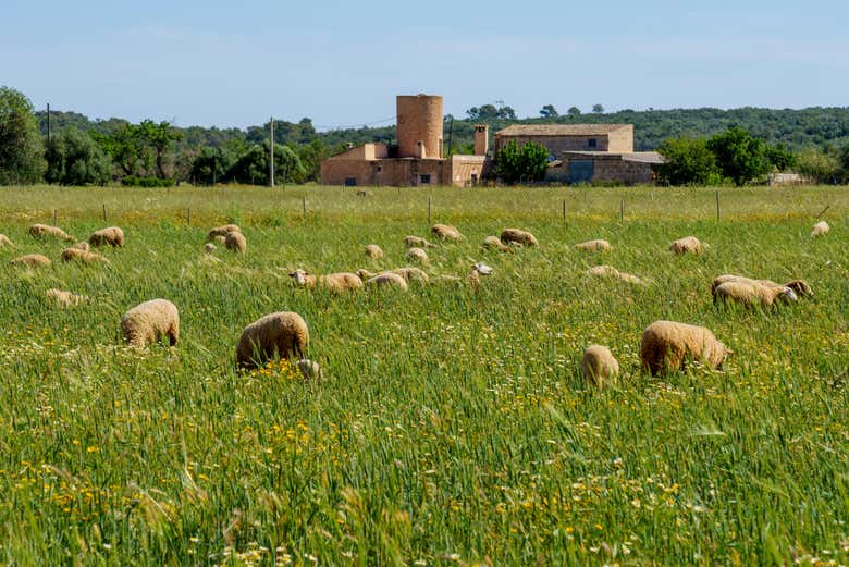 Será uma experiência inesquecível!