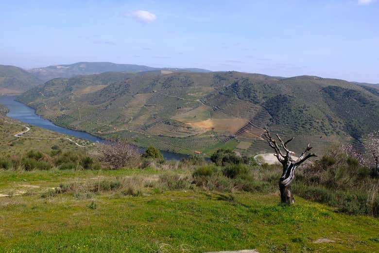 Impressionantes vistas do rio Côa