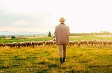 Sheep Farm Tour Guarda