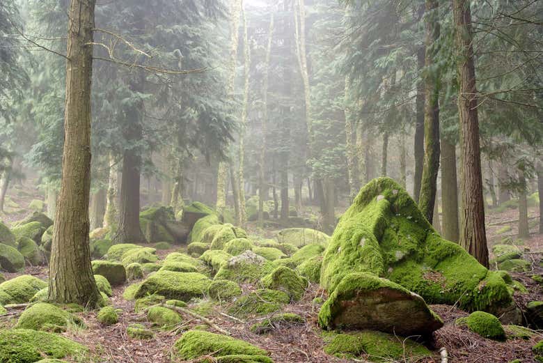 Peneda-Geres national park