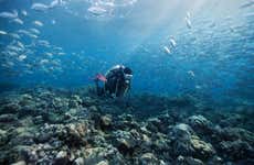 Bautismo de buceo en la isla de Faial
