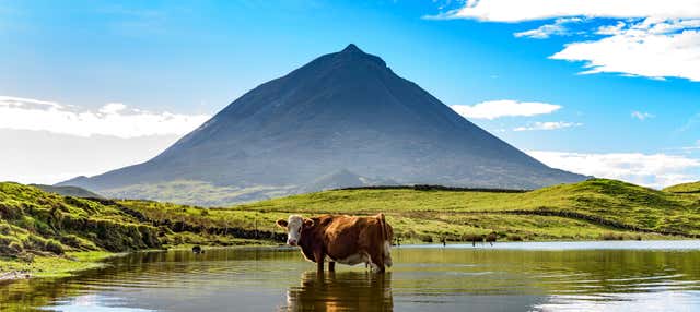 Escursione all'isola di Pico