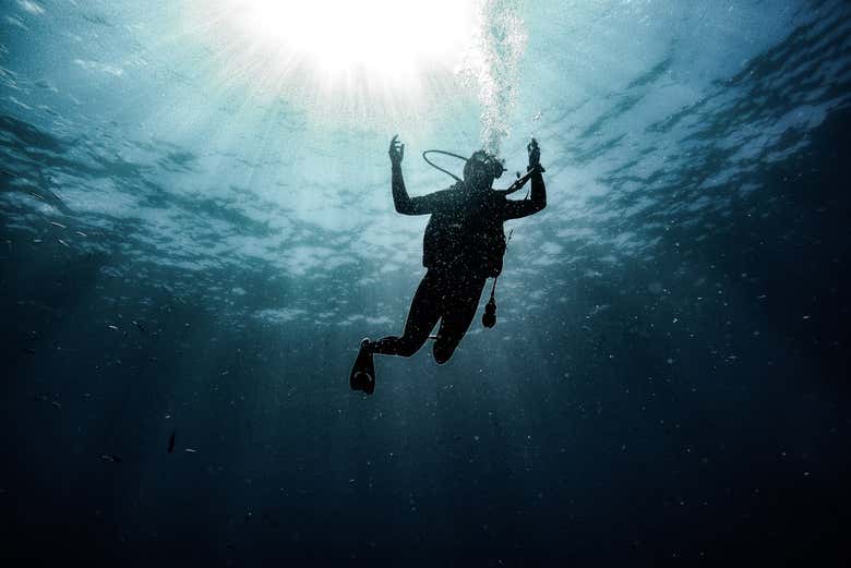 Starting to dive