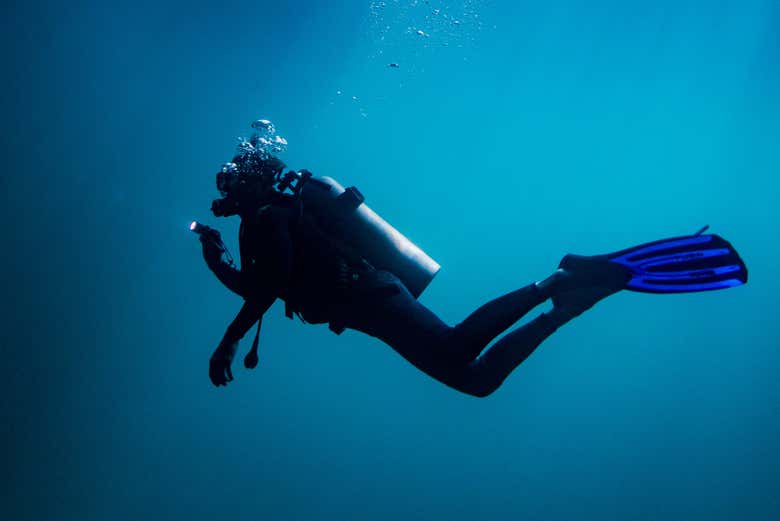Faites de la plongée sous-marine