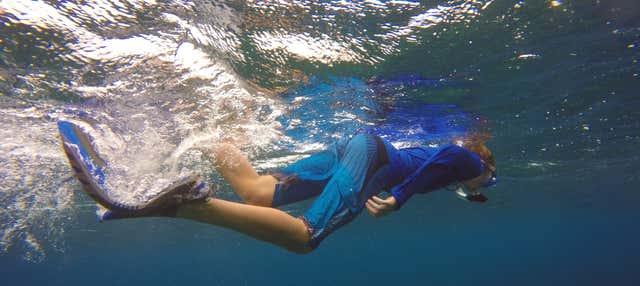 Snorkel na Ilha do Faial