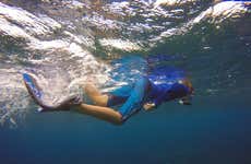 Snorkel en la isla de Faial