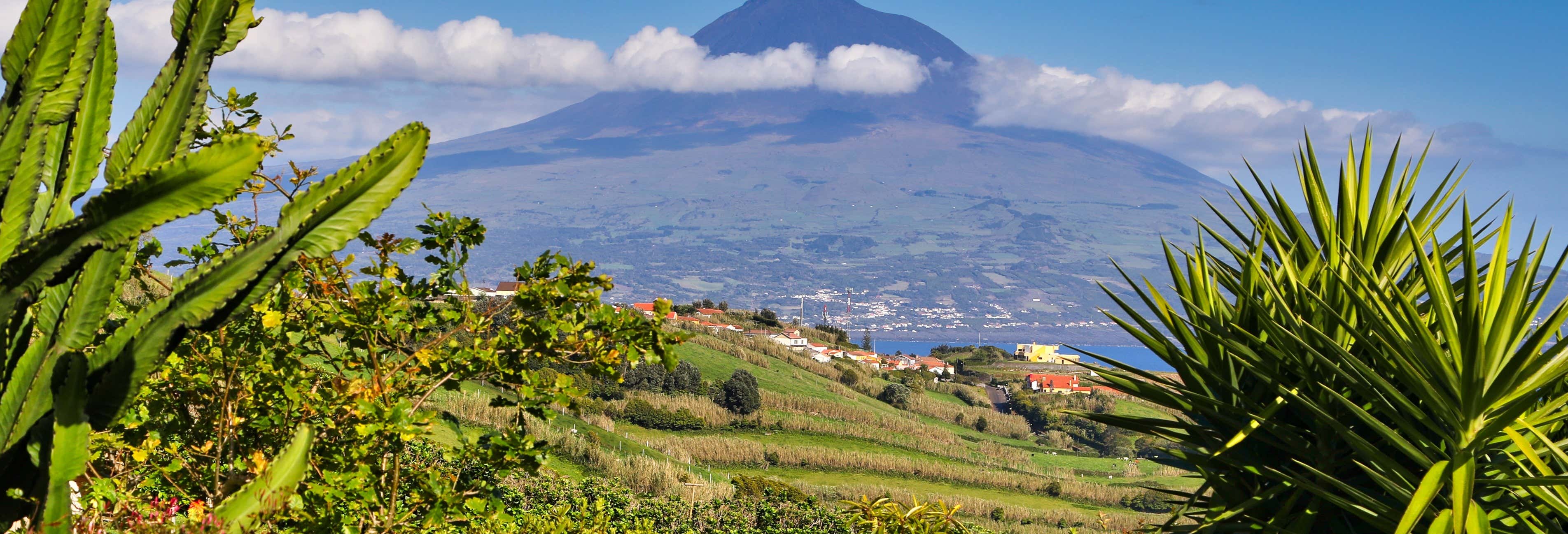Faial