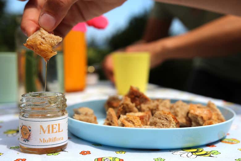 Tasting honey with pieces of bread