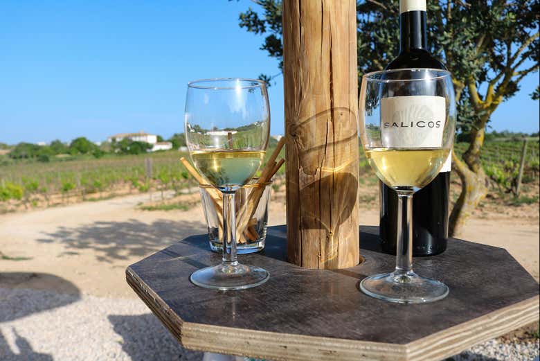 Taste different Algarve wines