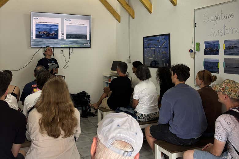 Nuestros biólogos marinos nos presentan nuestras especies y nos 