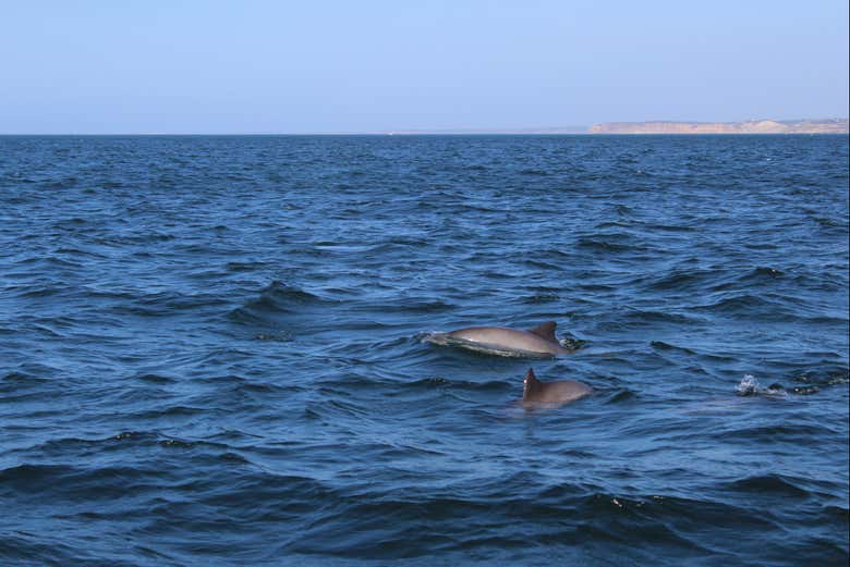 Réservez votre activité !