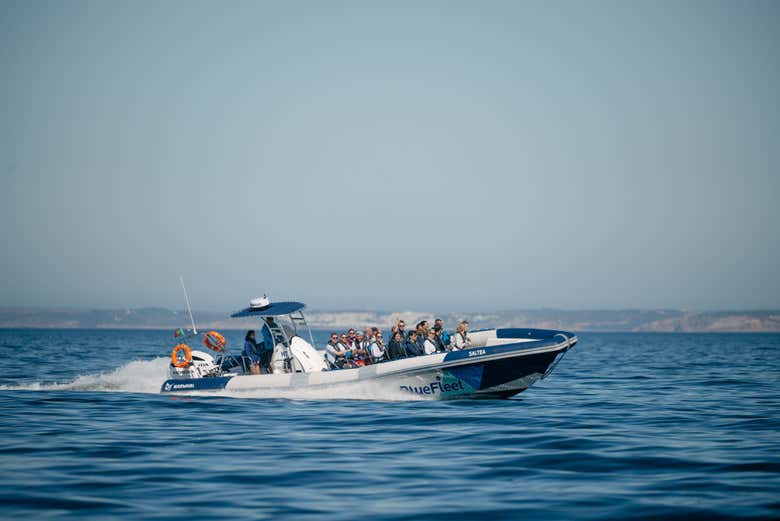 Nuestro barco