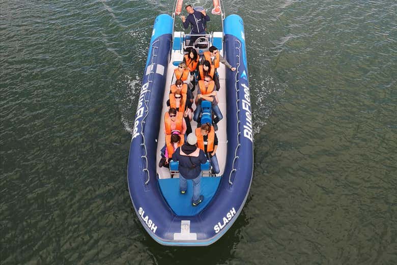 Navegando para ver a los delfines 