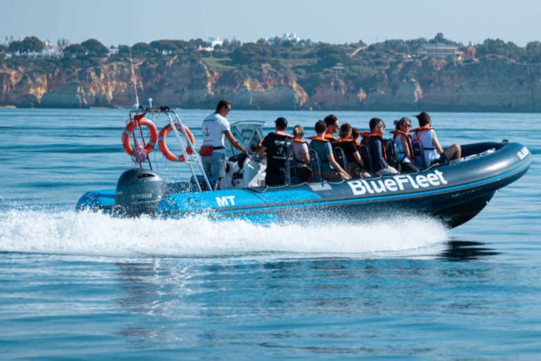 Observation de dauphins à Lagos