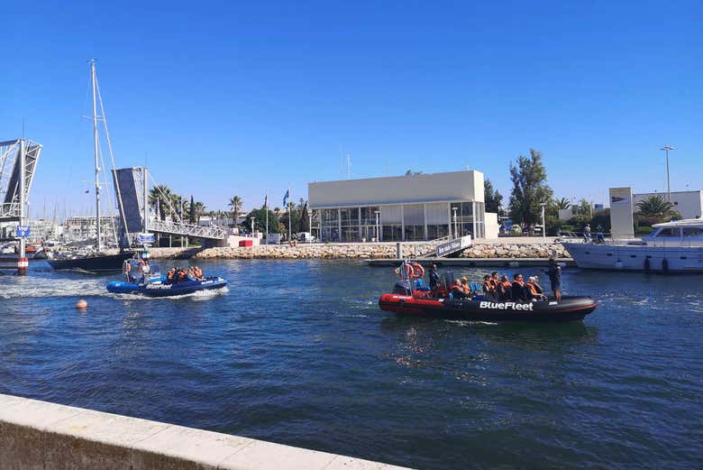 Sortie du port pour aller voir les dauphins