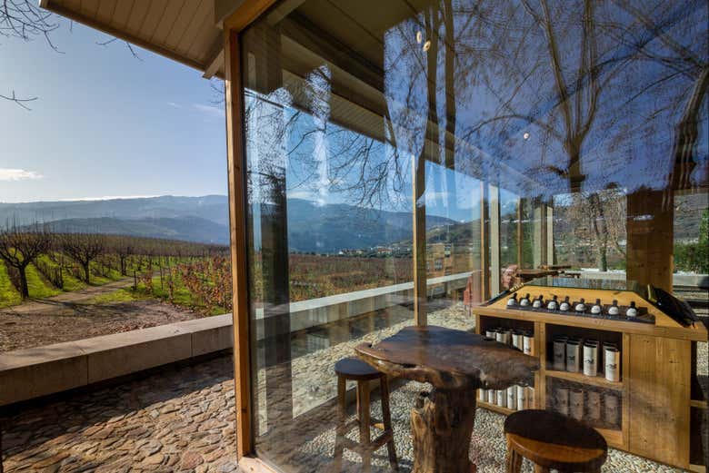 Visitando a adega Quinta da Pacheca