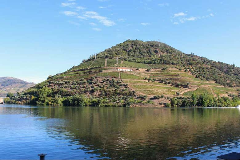 Vigneti sulle rive del Douro