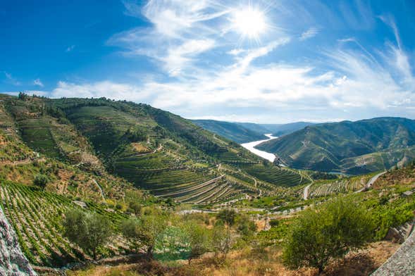 Tour pelo vale do Douro com degustação de vinhos + Passeio de barco