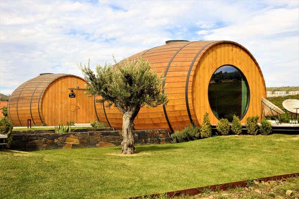 Visita à adega Quinta da Pacheca