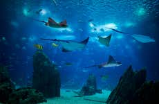 Entrada al Oceanario de Lisboa