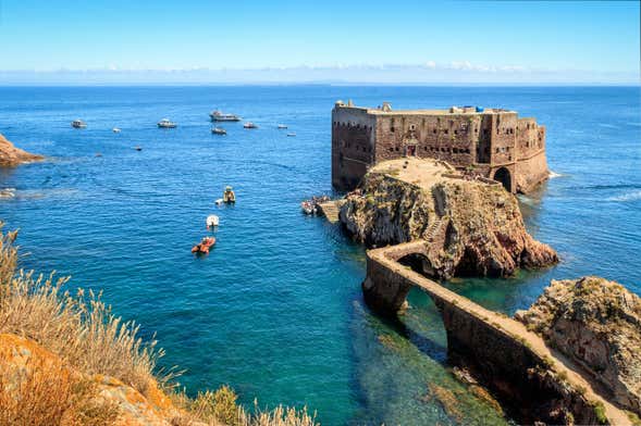 Berlenga Grande Day Trip