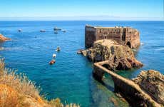 Excursión a Berlenga Grande