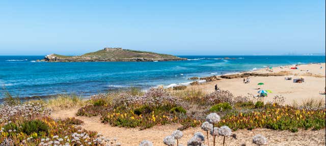 Excursão à Costa Vicentina e ao Alentejo