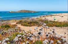 Excursión a la Costa Vicentina y el Alentejo