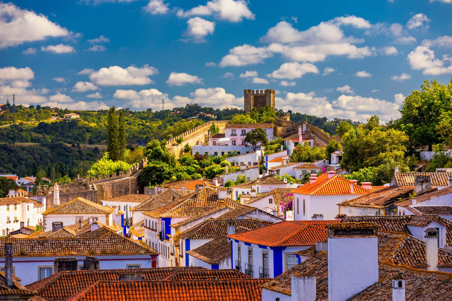 Escursione a Óbidos e Nazaré