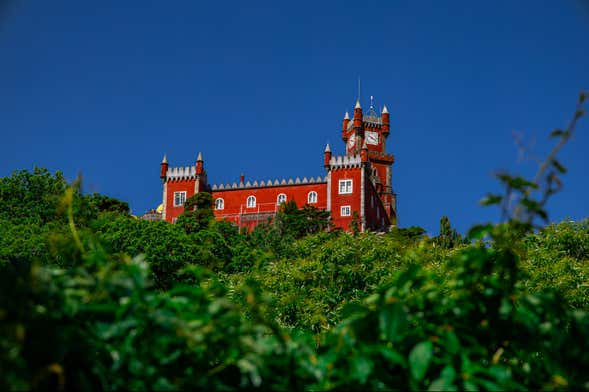 Excursion à Sintra et Cascais + Visite d'une cave à vin