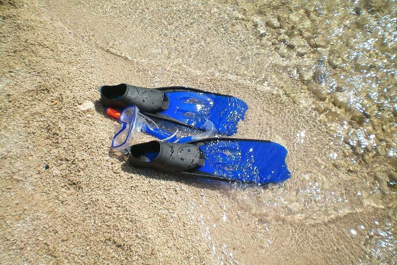 Forneceremos a você todo o equipamento de snorkel