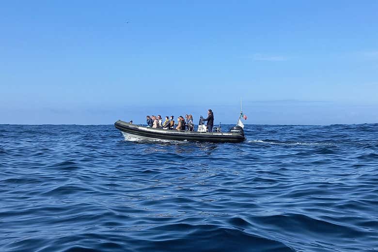 Profitez de la balade en bateau