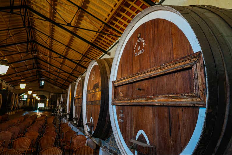 Visitaremos una bodega tradicional portuguesa