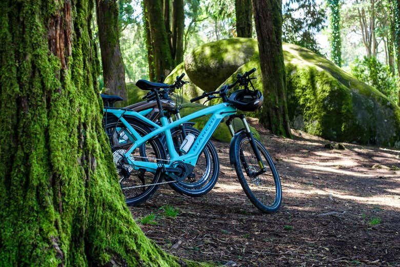 Découvrez la nature autour de Lisbonne
