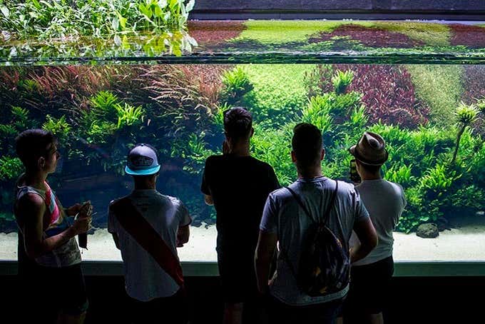 Vous découvrirez différents écosystèmes aquatiques