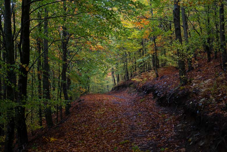 Paisagens da Serra da Estrela