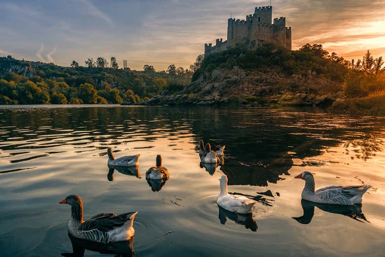Atardecer en el Castillo de Almourol