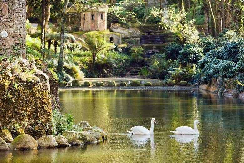 Percorrendo o Parque Natural de Sintra