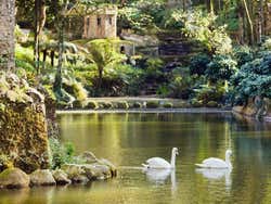 Parco Nazionale di Sintra-Cascais