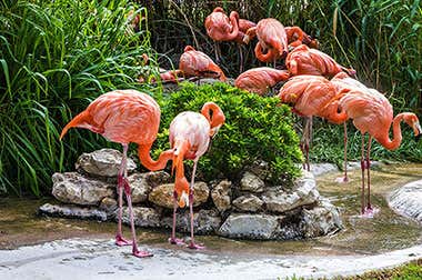 Jardim Zoológico de Lisboa