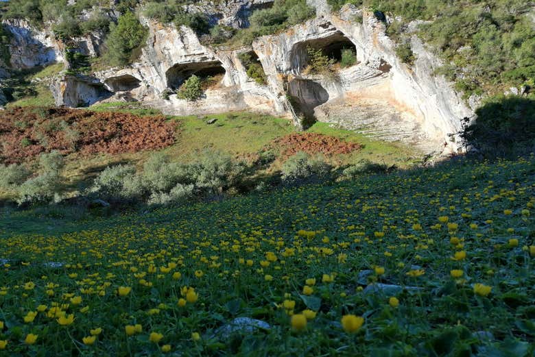 Contemplaremos un hermoso paisaje