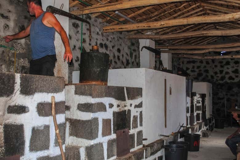 We'll pass by wineries and vineyards