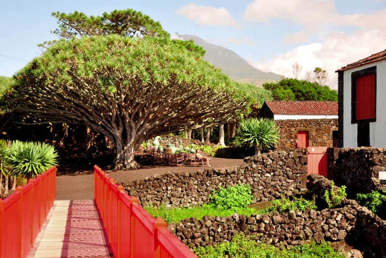 Instalações do Museu do Vinho