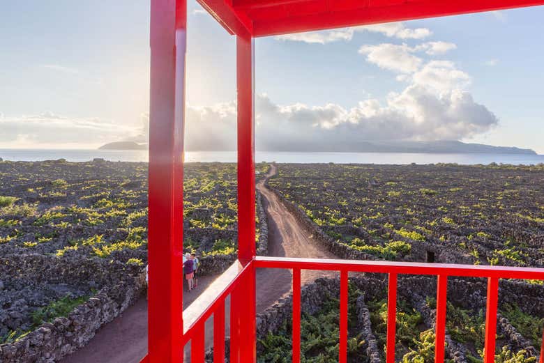 Museu do Vinho da ilha do Pico
