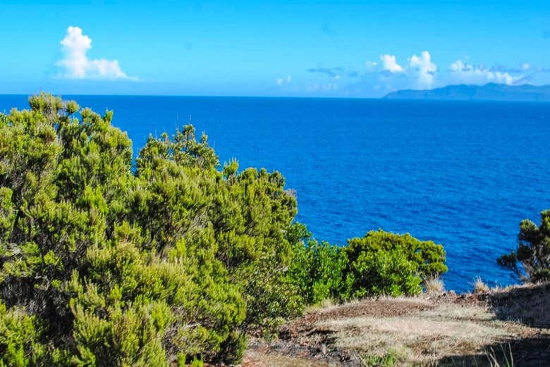 Trilha pelos vinhedos do Pico + Degustação de vinhos saindo de Madalena