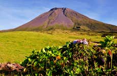 Tour dei vulcani e dei laghi di Pico