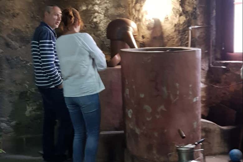 Conhecendo o processo de elaboração do licor