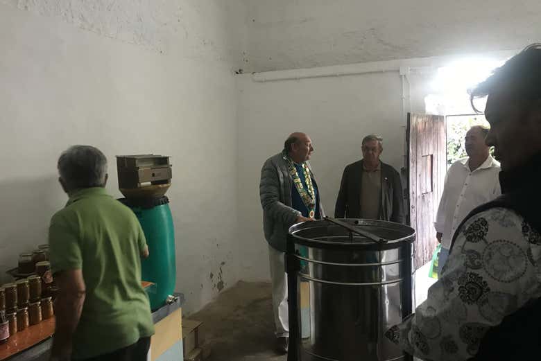 Descobrindo a produção do mel