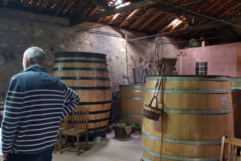 Visita a uma destilaria de aguardente de medronho