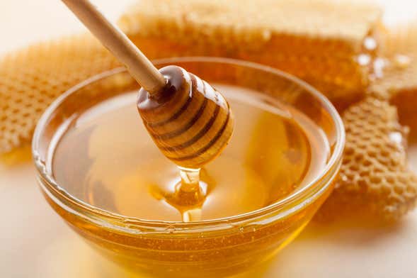 Visita a una fábrica de miel
